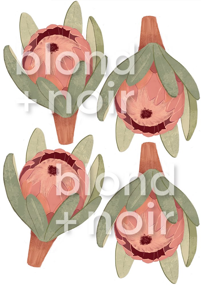 Protea | Removable Fabric Wall Decals Wall Decals Blond + Noir 