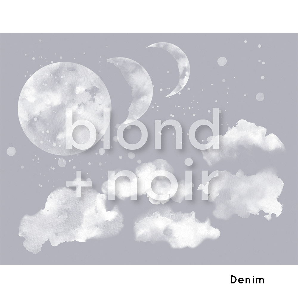 A New Dawn | Removable PhotoTex Wallpaper | Full & Half Walls Wallpaper Blond + Noir 