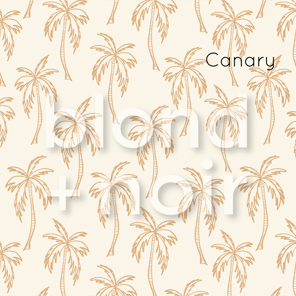 Boho Palms: Full & Half Walls | Removable PhotoTex Wallpaper Wallpaper Blond + Noir 