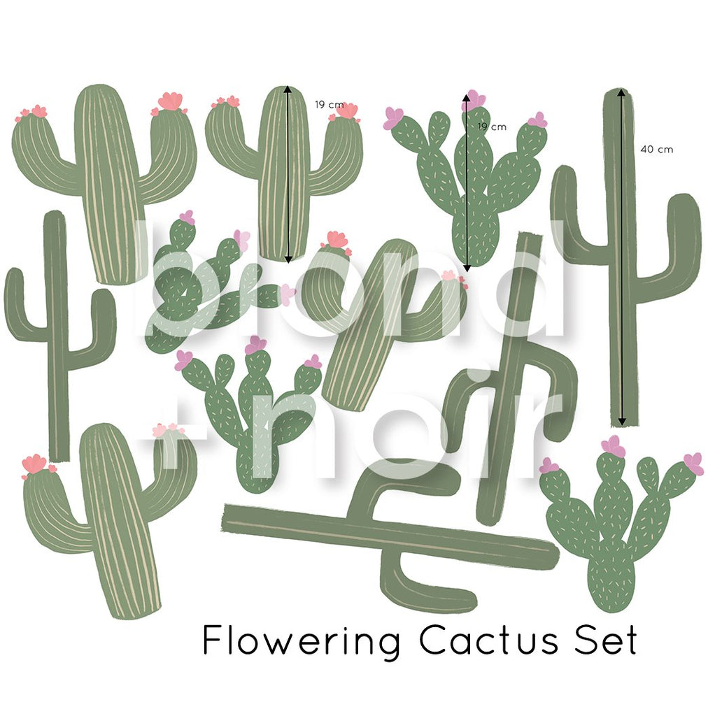 Cactus Sets | Wall Decals Wall Decals Blond + Noir Flowering Cactus 