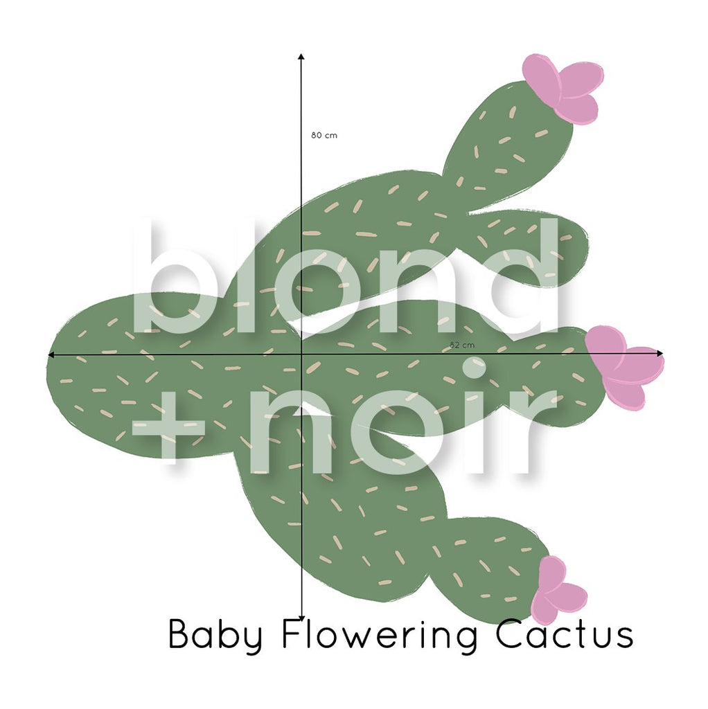 Cactus Singles | Wall Decals Wall Decals Blond + Noir Baby Flowering Cactus 