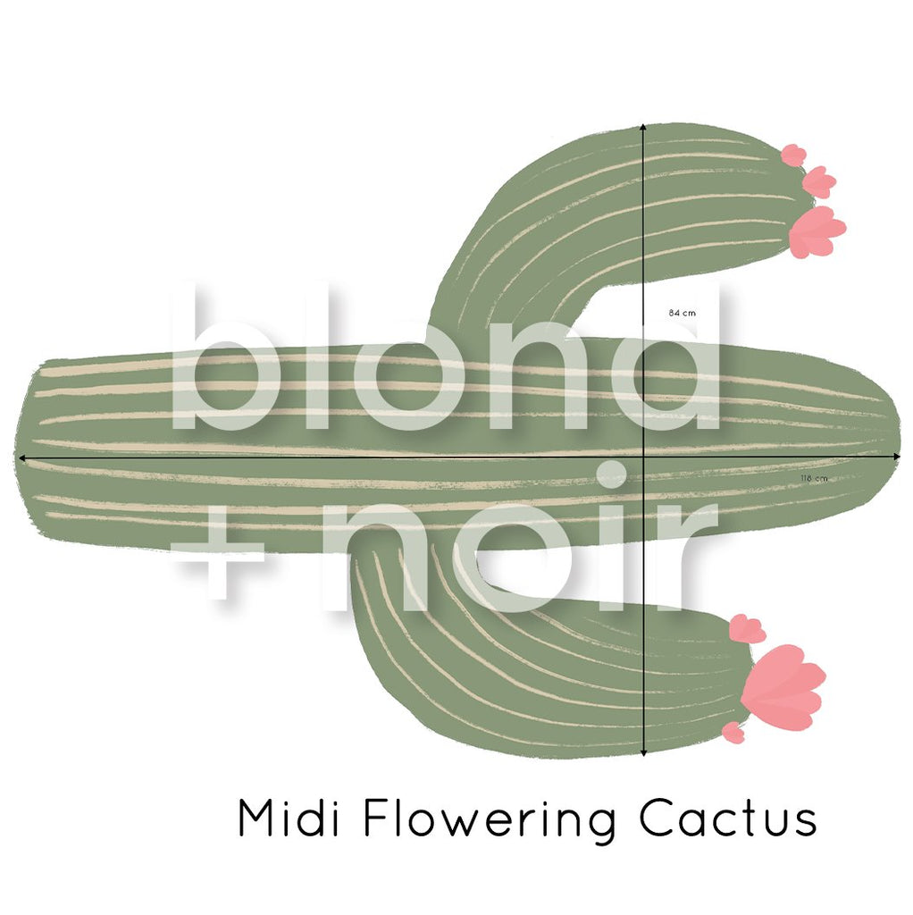 Cactus Singles | Wall Decals Wall Decals Blond + Noir Midi Flowering Cactus 