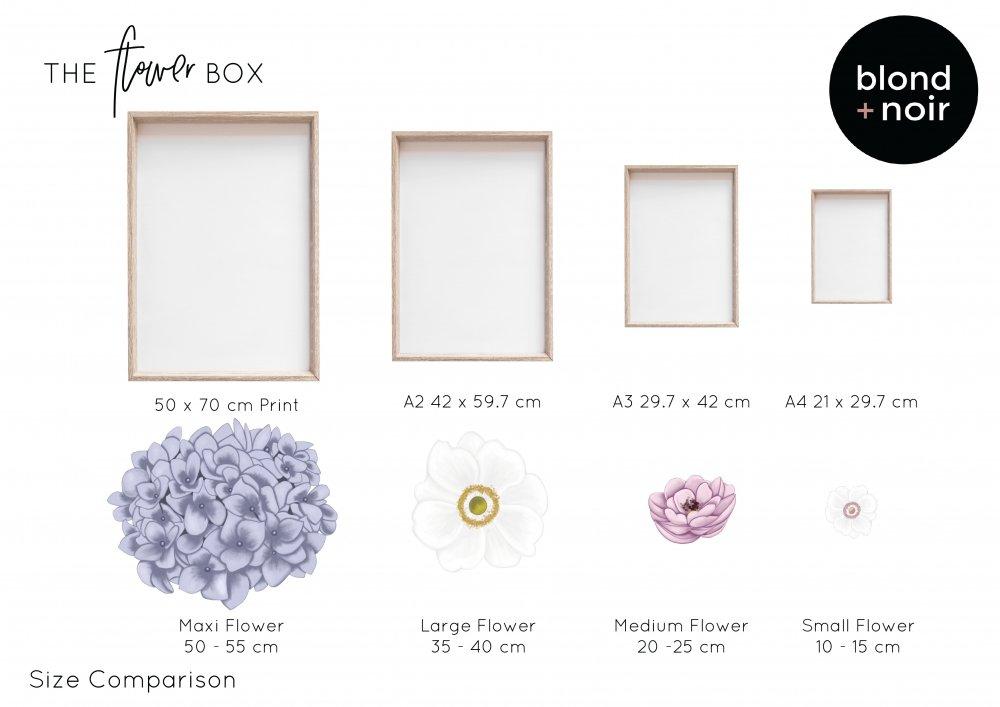 Flower Box | Samples | Removable Floral Wall Decals Wall Decals Blond + Noir 