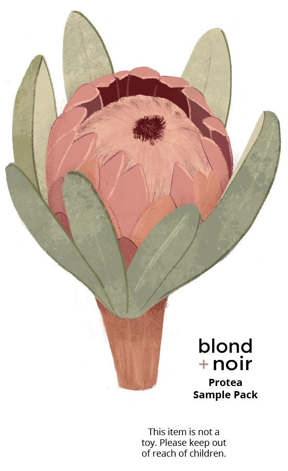 Protea | Removable Fabric Wall Decals Wall Decals Blond + Noir 