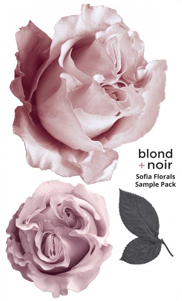 Sofia Florals | Removable Fabric Wall Decals Wall Decals Blond + Noir 