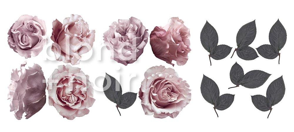 Sofia Florals | Removable Fabric Wall Decals Wall Decals Blond + Noir 